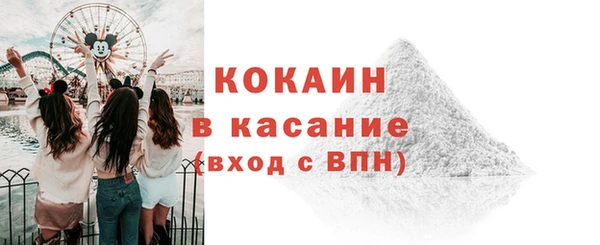 прущие крисы Арсеньев