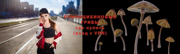 spice Богородск