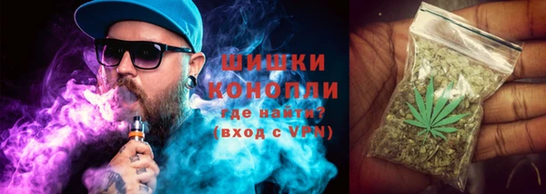 кокс Богородицк