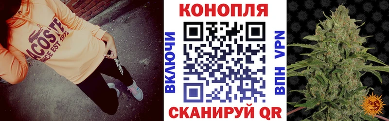 Марихуана конопля  Колпашево 